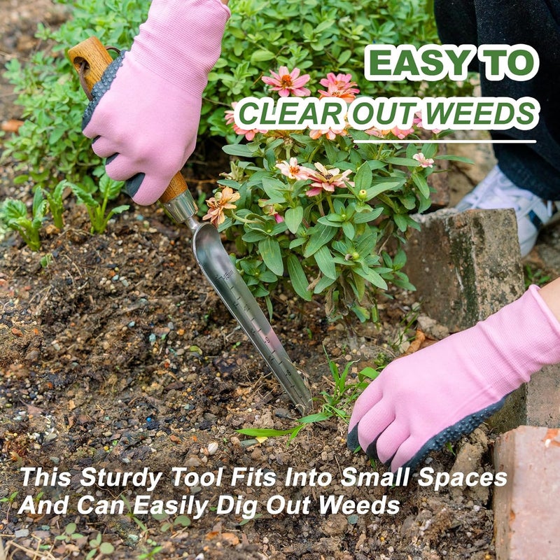 Haliaeetus Seeding Widger with 6'' Scale, Stainless Steel Planting Trowel for Repotting, Long and Narrow Widger for Weeding from Tight Areas, Hand Transplanter with Wood Handle for Planting, Digging - Image 4